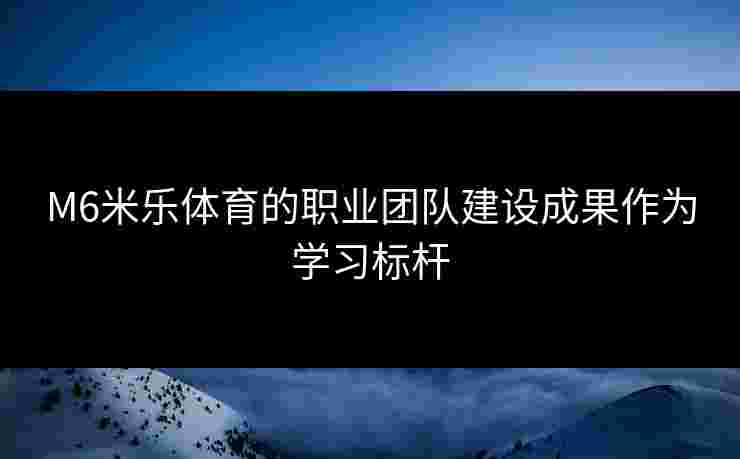 M6米乐体育的职业团队建设成果作为学习标杆