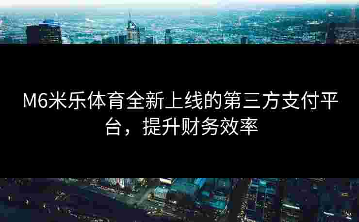 M6米乐体育全新上线的第三方支付平台，提升财务效率