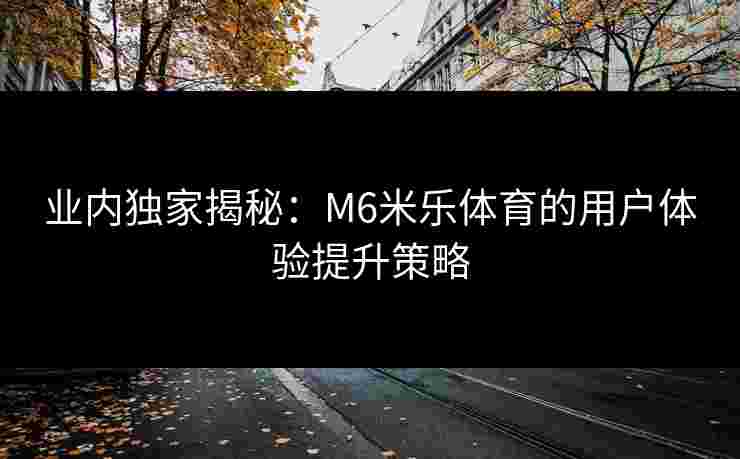 业内独家揭秘：M6米乐体育的用户体验提升策略