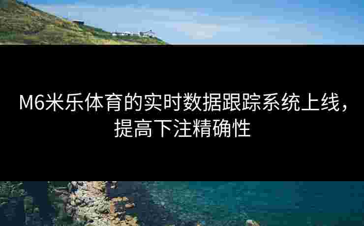 M6米乐体育的实时数据跟踪系统上线，提高下注精确性