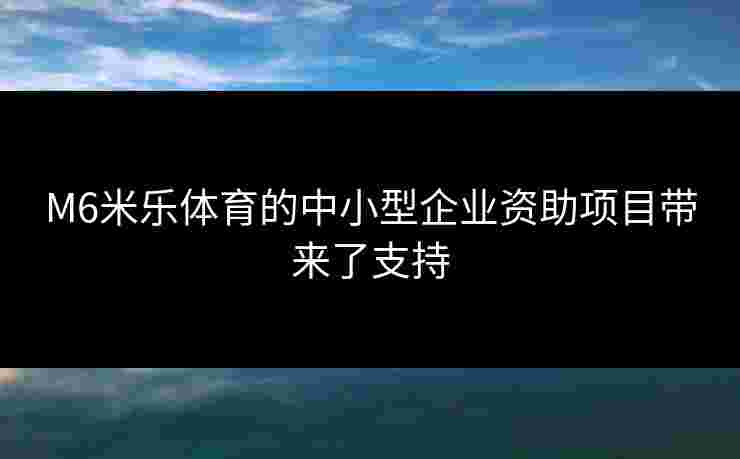 M6米乐体育的中小型企业资助项目带来了支持
