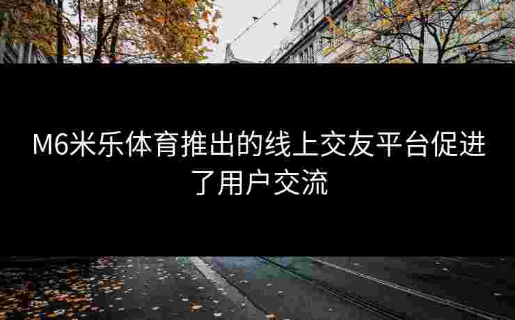 M6米乐体育推出的线上交友平台促进了用户交流