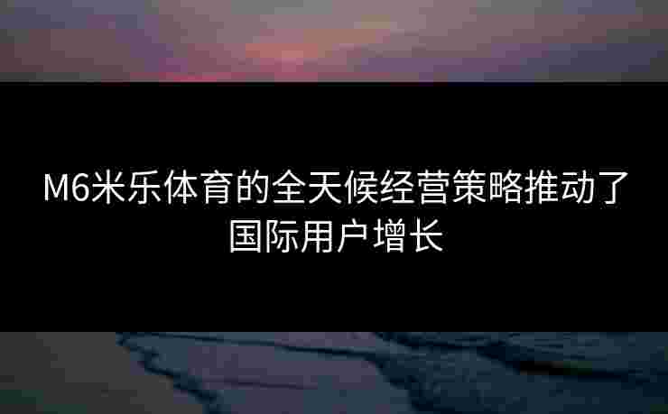 M6米乐体育的全天候经营策略推动了国际用户增长